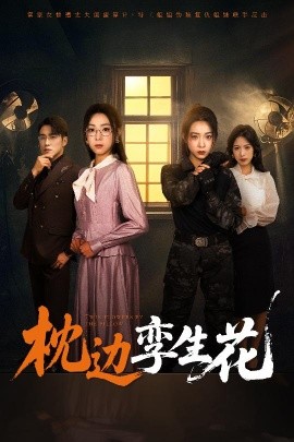 短剧《枕边孪生花（50集）张宇翔&周玉玲 (2025)》全集免费在线观看-第1张图片-力界网