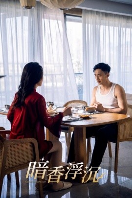 短剧《暗香浮沉（51集）喻浩洋&孙梦蝶 (2025)》全集免费在线观看-第1张图片-力界网