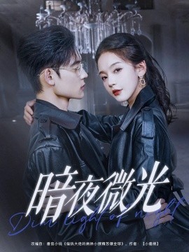 短剧《暗夜微光（86集）张力壬&徐波滴 (2025)》全集免费在线观看-第1张图片-力界网