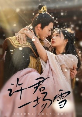 短剧《许君一场雪（43集）文聪＆姜熙绕 (2025)》全集免费在线观看-第1张图片-力界网