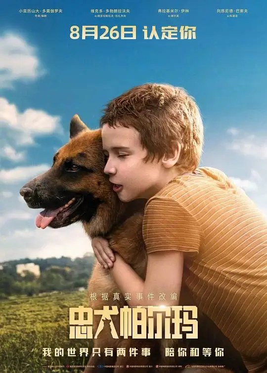 忠犬帕尔玛 (2021)高清蓝光4k免费在线观看-第1张图片-力界网