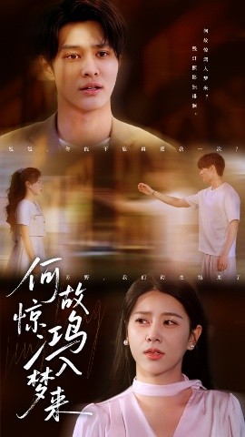短剧《何故惊鸿入梦来（59集）胡春源&徐海文 (2025)》全集免费在线观看-第1张图片-力界网