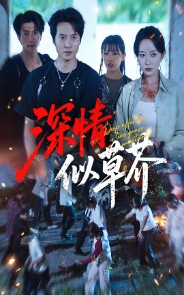短剧《深情似草芥（51集）源鑫&王瀚迎 (2025)》全集免费在线观看-第1张图片-力界网