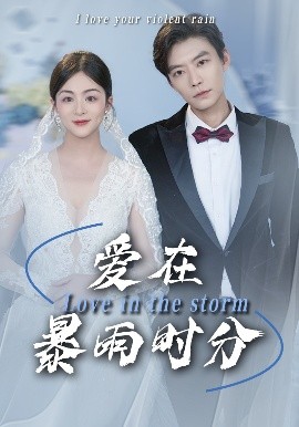 短剧《爱在暴雨时分（55集）董一乐&储芊樾 (2025)》全集免费在线观看-第1张图片-力界网