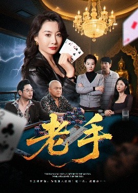 短剧《老手（36集）王圻嘉&袁珉 (2025)》全集免费在线观看-第1张图片-力界网