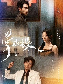 短剧《掌中蝶（84集）李豪&蒲雨童 (2025)》全集免费在线观看-第1张图片-力界网