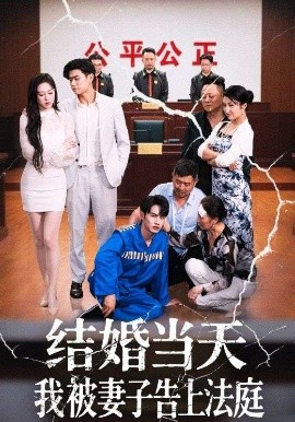 短剧《结婚当天我被妻子告上法庭（30集）王惠子&张玉忱 (2025)》全集免费在线观看-第1张图片-力界网