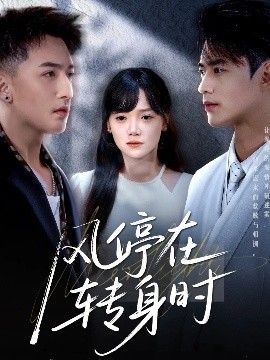 短剧《风停在转身时（72集）黄小再＆秦远 (2025)》全集免费在线观看-第1张图片-力界网