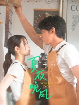 短剧《夏夜晚风（12集）何衍朝＆蔡子伊 (2025)》全集免费在线观看-第1张图片-力界网
