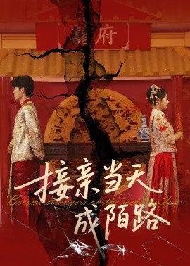 短剧《接亲当天成陌路（50集）(2025)》全集免费在线观看-第1张图片-力界网