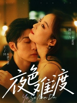 短剧《夜色难渡（70集）王子林&韩佳卉 (2025)》全集免费在线观看-第1张图片-力界网