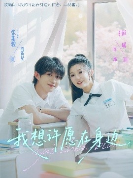 短剧《我想许愿在身边（79集）彭瑶&张集骏 (2025)》全集免费在线观看-第1张图片-力界网