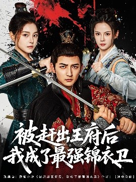 短剧《被赶出王府后我成了最强锦衣卫（80集）杜江山&一然 (2025)》全集免费在线观看-第1张图片-力界网