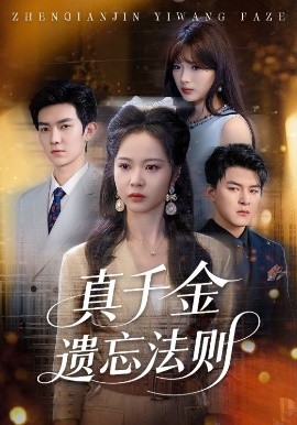 短剧《真千金遗忘法则（58集）王旭&姚慧 (2025)》全集免费在线观看-第1张图片-力界网