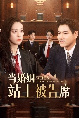 短剧《当婚姻站上被告席（30集）刘林&刘涵飞 (2025)》全集免费在线观看 -第1张图片-力界网