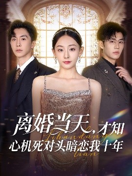 短剧《离婚当天，才知心机死对头暗恋我十年（90集）鞠可儿&刘承林 (2025)》全集免费在线观看 -第1张图片-力界网