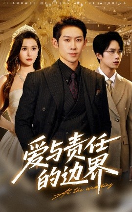 短剧《爱与责任的边界（35集）彭羽&王新颖 (2025)》全集免费在线观看 -第1张图片-力界网