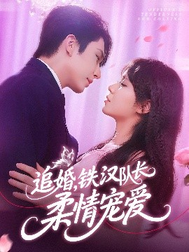 短剧《追婚，铁汉队长柔情宠爱（95集）景文&李雪丹 (2025)》全集免费在线观看 -第1张图片-力界网