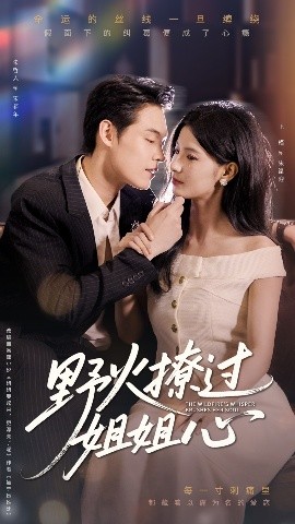 短剧《野火撩过姐姐心（97集）朱哲人&王槿 (2025)》全集免费在线观看 -第1张图片-力界网