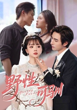 短剧《野性可驯（63集）李豪&蔡淼燕 (2025)》全集免费在线观看 -第1张图片-力界网