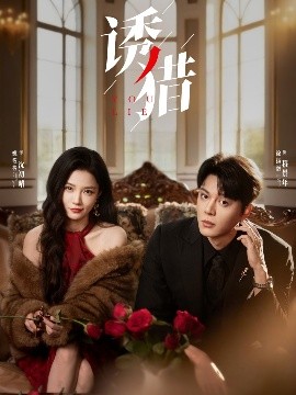 短剧《诱猎（65集）徐扬灏＆姚筱筱 (2025)》全集免费在线观看 -第1张图片-力界网