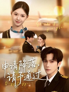 短剧《申请降落，请予通过（60集）林世杰＆丁紫嫣 (2025)》全集免费在线观看 -第1张图片-力界网