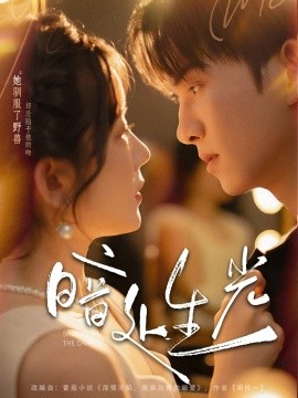 短剧《暗处生光（82集）莫书铭＆冯易鑫 (2025)》全集免费在线观看 -第1张图片-力界网