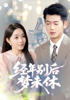 短剧《经年别后梦未休（85集）李泉成&李冰冰 (2025)》全集免费在线观看 -第1张图片-力界网