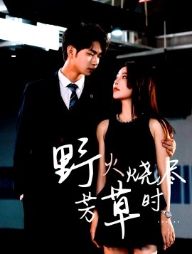 短剧《野火烧尽芳草时（65集）黄垚＆闫妍 (2025)》全集免费在线观看 -第1张图片-力界网