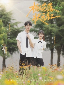 短剧《栀子花落状元红（50集）时康&杨帆 (2025)》全集免费在线观看 -第1张图片-力界网