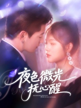 短剧《夜色微光抚心醒（82集）王羽墨 (2025)》全集免费在线观看 -第1张图片-力界网