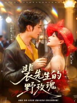 短剧《裴先生的野玫瑰（72集）兰岚&王道铁 (2025)》全集免费在线观看 -第1张图片-力界网