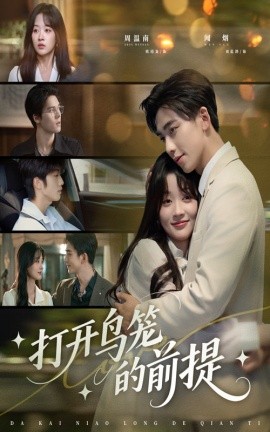 短剧《打开鸟笼的前提（43集）刘蓝鸽＆欧靖枭 (2025)》全集免费在线观看 -第1张图片-力界网