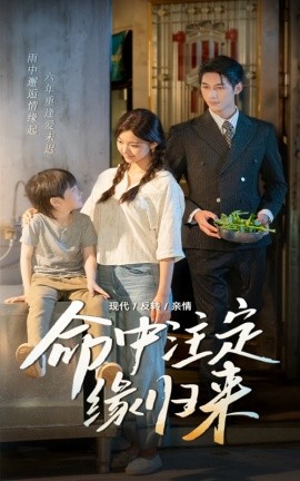 短剧《命中注定缘归来（63集）戚羽佳&马千欢 (2025)》全集免费在线观看 -第1张图片-力界网