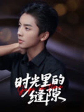 短剧《时光里的缝隙（16集）王宇翔&谭颖娟 (2025)》全集免费在线观看 -第1张图片-力界网
