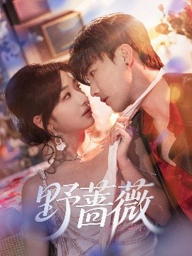 短剧《野蔷薇（60集）杜亚飞&杨殊予 (2025)》全集免费在线观看 -第1张图片-力界网