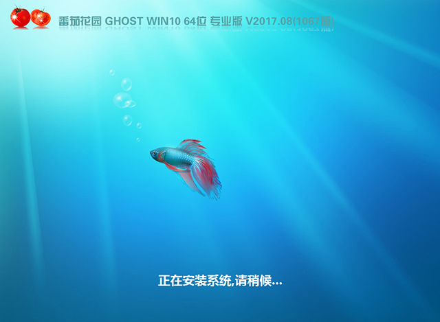 番茄花园GHOST WIN10 64位 专业版 V2017.08(免激活)-第1张图片-力界网