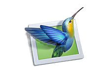 PTE AV Studio Pro v11.0.21.2 幻灯片制作软件绿色版-第1张图片-力界网
